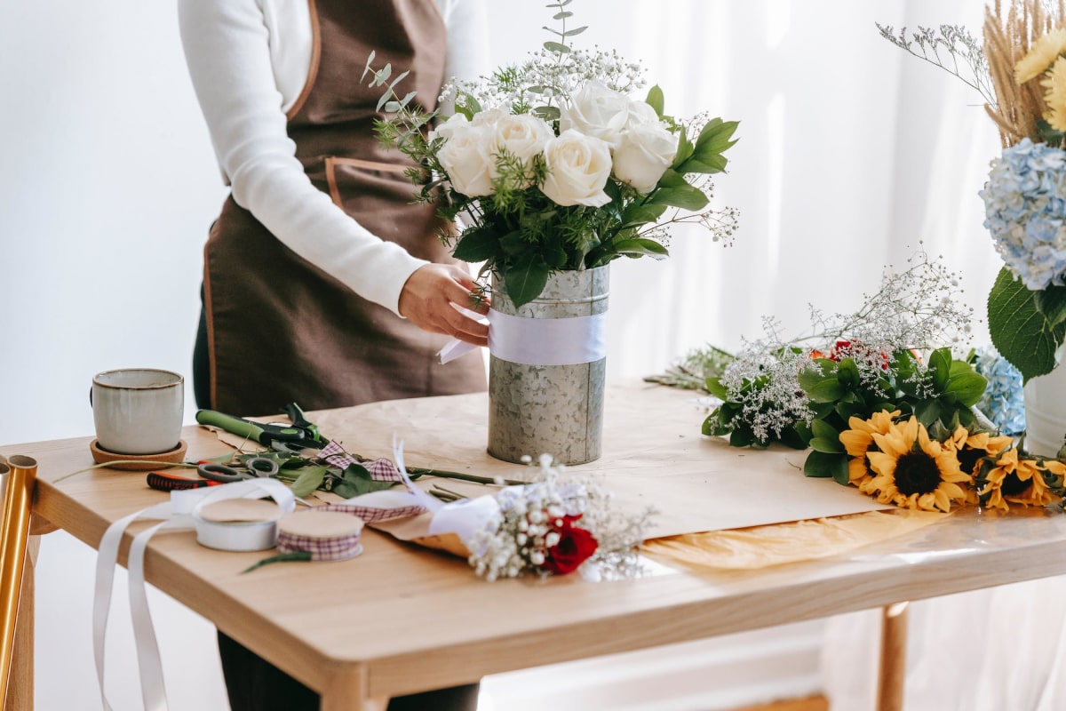 Pluzzy | Organic Protin- Rich Food Online Store pluzzy