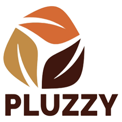 (c) Pluzzy.in