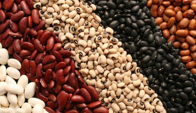 Pluzzy | Organic Protin- Rich Food Online Store Legumes,Health Benefits Of Legumes,फलियां