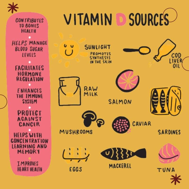 Pluzzy | Organic Protin- Rich Food Online Store Dietary Strategies to Boost Your Vitamin D