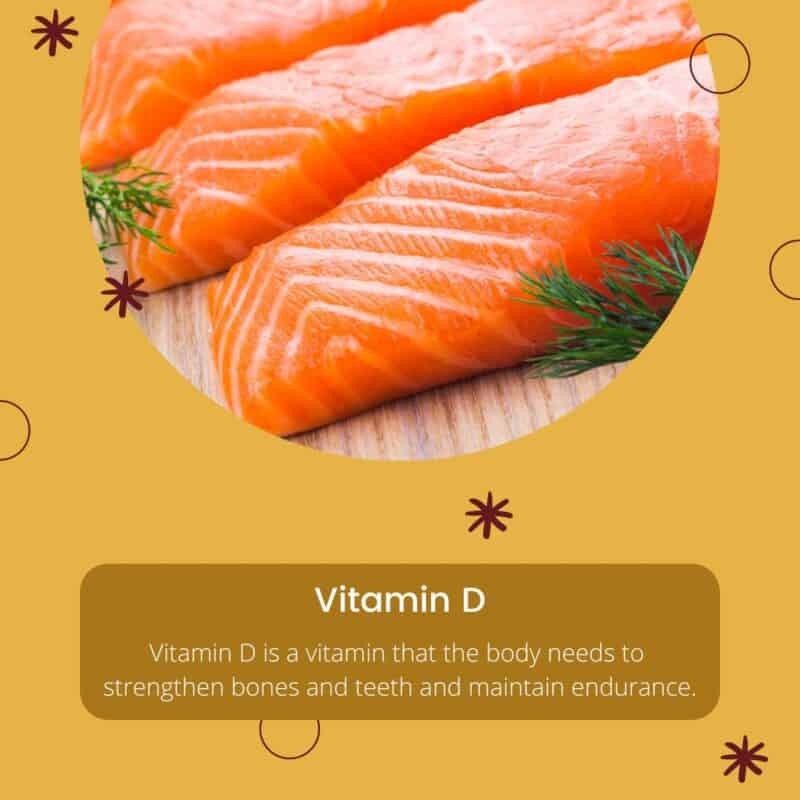 Pluzzy | Organic Protin- Rich Food Online Store pluzzy